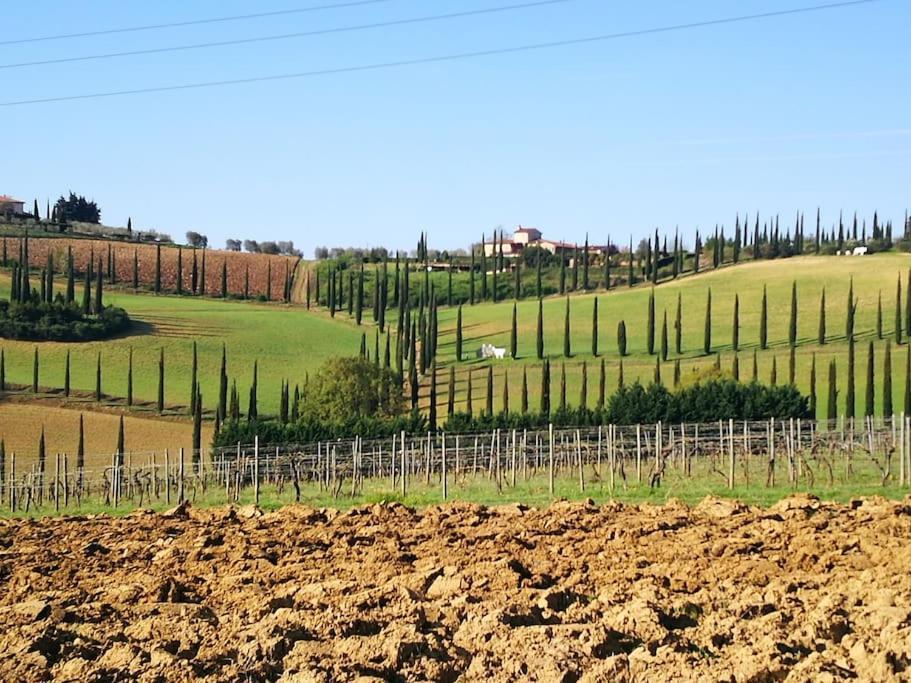 Castello Di Fulignano Ildebrando Superior San Gimignano